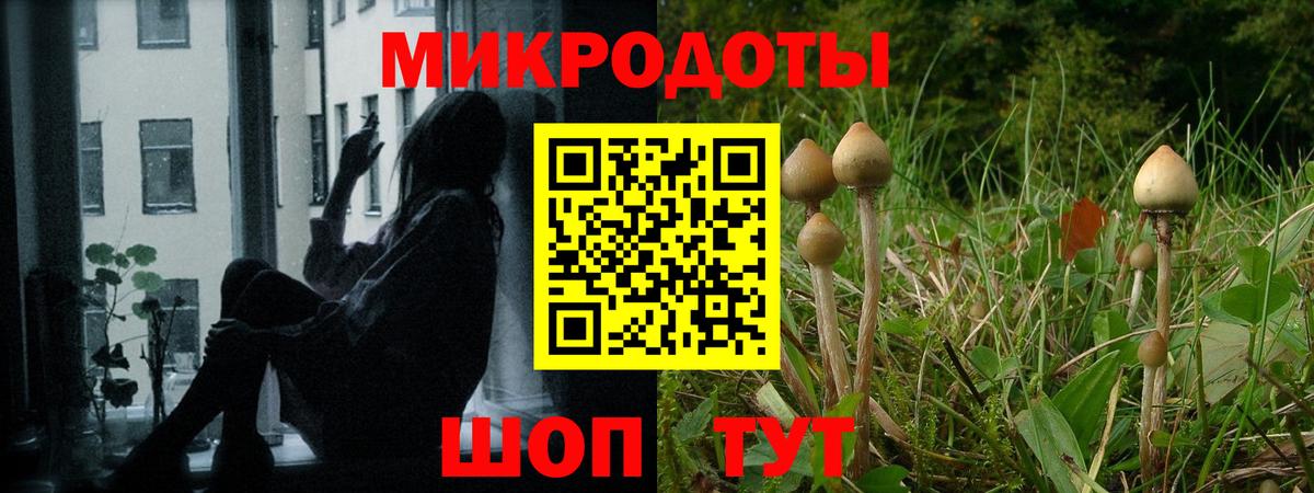 Галлюциногенные грибы GOLDEN TEACHER  Вход с VPN  Коммунар 